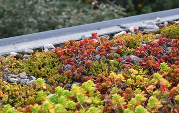 the cost of Fobbing green roof installation