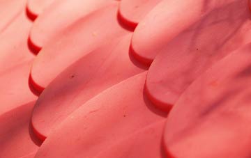 Fobbing plastic roof costs