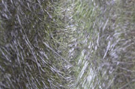 Fobbing fibreglass roof work